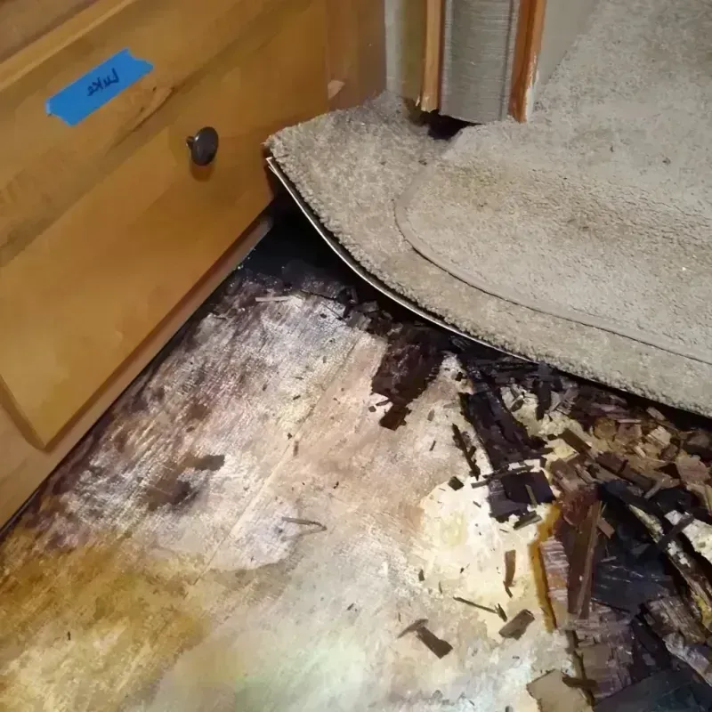 Wood Floor Water Damage in Chatsworth, IL